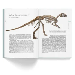 NHM Shop A History of Dinosaurs in 50 Fossils Online