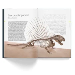 NHM Shop A History of Life in 100 Fossils New