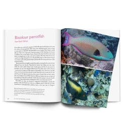 NHM Shop A Little Gay Natural History New