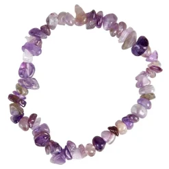 NHM Shop Amethyst Chip Bracelet Sale