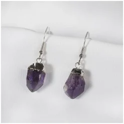 NHM Shop Amethyst Rough Point Silver Plated Earrings Outlet