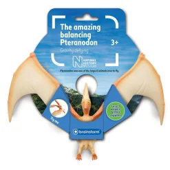 NHM Shop Balancing Pteranodon Online