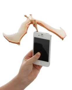 NHM Shop Balancing Pteranodon Online