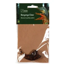 NHM Shop Baryonyx Claw Replica Clearance