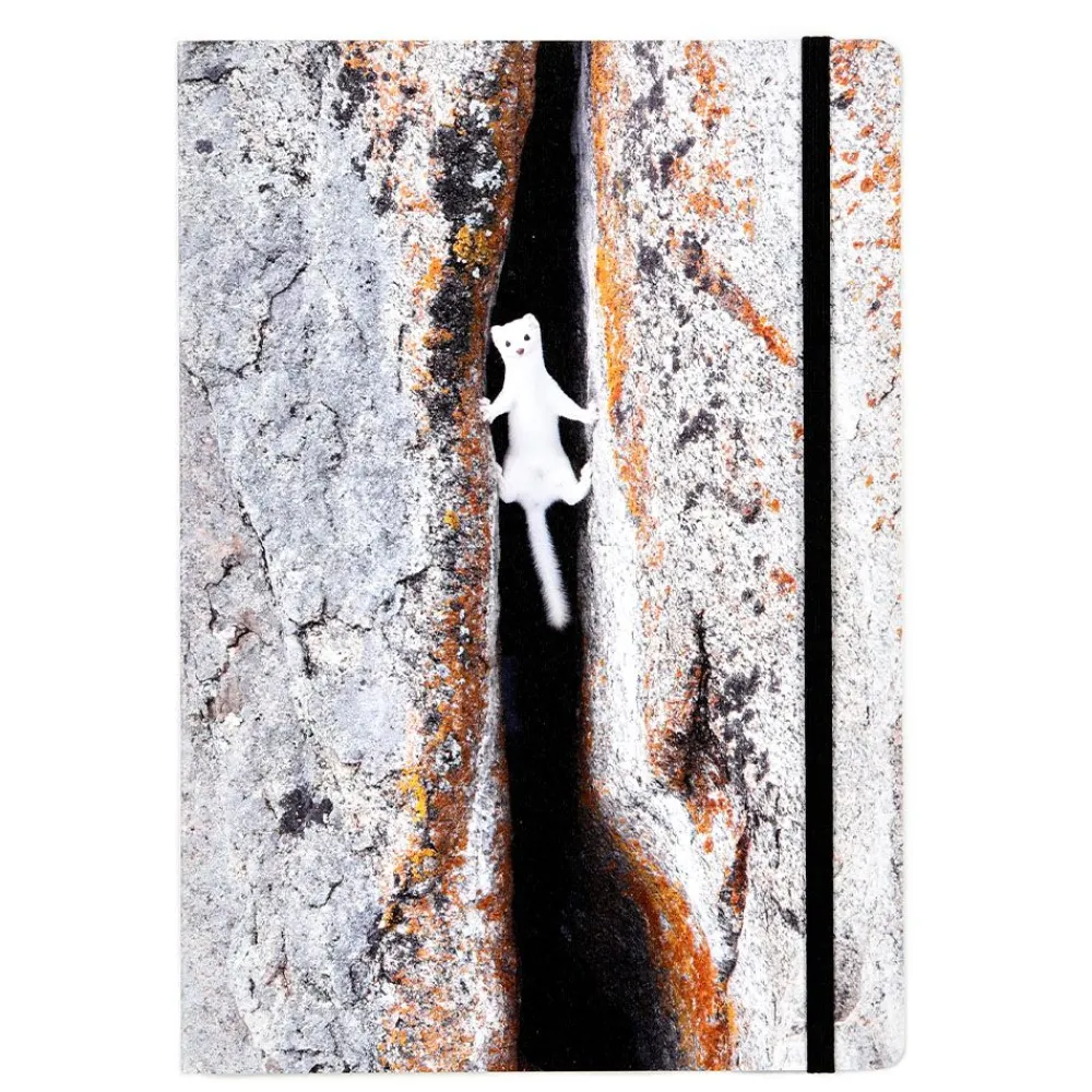 NHM Shop Between a Rock and a Hard Place Notebook: Wildlife Photographer of the Year 60 New