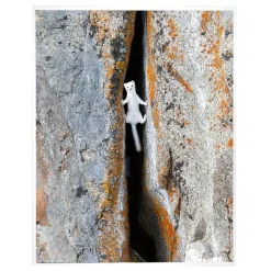 NHM Shop Between a Rock and a Hard Place Print Outlet