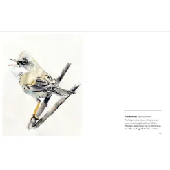 NHM Shop Birds: Paintings of 100 British Birds Best
