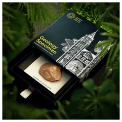 NHM Shop Cambrian Quartzite Geology Specimen in a Box Frame Online
