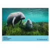 NHM Shop Cute Notecard Set: Wildlife Photographer of the Year 60 Clearance