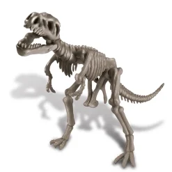 NHM Shop Dig a T. rex Skeleton Kit Online
