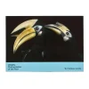 NHM Shop Favourites Notecard Set: Wildlife Photographer of the Year 60 Clearance