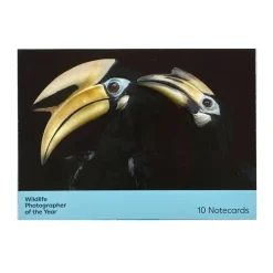 NHM Shop Favourites Notecard Set: Wildlife Photographer of the Year 60 Clearance