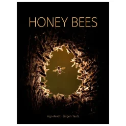 NHM Shop Honey Bees New
