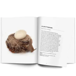 NHM Shop Interesting Bird Nests & Eggs Discount