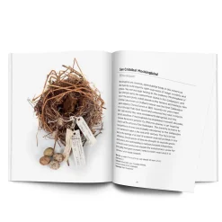 NHM Shop Interesting Bird Nests & Eggs Discount