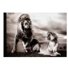 NHM Shop Stormy Scene Sketchpad: Wildlife Photographer of the Year 60 Discount