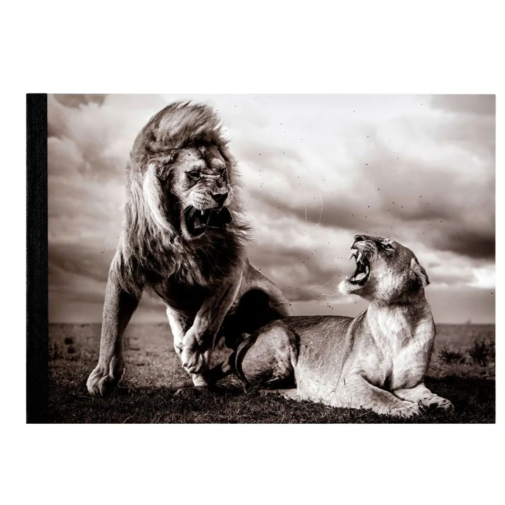 NHM Shop Stormy Scene Sketchpad: Wildlife Photographer of the Year 60 Discount