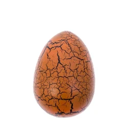 NHM Shop T. rex Hatching Egg in a Box New