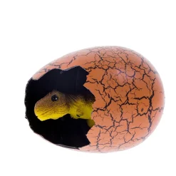 NHM Shop T. rex Hatching Egg in a Box New