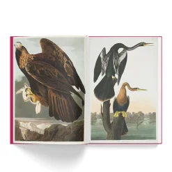 NHM Shop The Birds of America