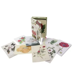 NHM Shop The Flora Collection: Postcards in a Box