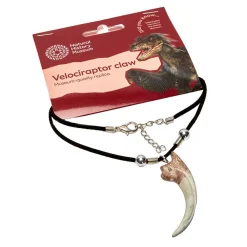 NHM Shop Velociraptor Claw Necklace