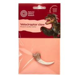 NHM Shop Velociraptor Claw Replica Online
