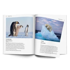 NHM Shop Wildlife Photographer of the Year Highlights Volume 10